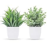 Der Rose 2 Pack Small Fake Plants Mini Artificial Potted Plants for Table Desk Home Laundry Room Bathroom Office Decor