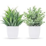 Der Rose 2 Pack Fake Plants Small Plants for Bathroom Office Decor