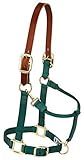 Weaver Equine Nylon Horse Halter, Supple Leather Crown, Adjustable Brass Throat Snap Halters for Horses, Equine Tack,Average Size, Hunter Green