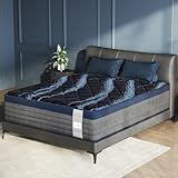 Queen Mattress, 14 Inch Mattress in a Box, Medium Firm, Memory Foam Hybrid Mattress, With Individual Pocket Spring for Motion Isolation/Silent Sleep/Lumbar Support & Pressure Relief, CertiPUR-US