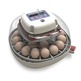 Harris Farms Nurture Right Egg Incubator with Auto Turner, Holds 22 Eggs | Holds 12-22 Eggs, Automatic Egg Turner, Temperature & Humidity Control, 360° Viewing Window, Ideal for Hatching Chicks