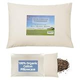 LOFE Organic Buckwheat Pillow for Sleeping with Organic Cotton Pillowcase - 14''x20'' Adjustable Pillow, Breathable for Cool Sleep, Cervical Support for Back and Side Sleepers(Tartary Buckwheat Hulls)