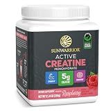 Creatine Monohydrate Powder Micronized PreWorkout Recovery Supplement | Support Muscle Building Strength Training Cognition | Vegan & Keto Friendly Easily Mixes 50 Servings Raspberry Flavored