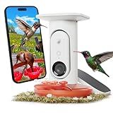 Birdbuddy Smart Solar Pro Hummingbird Feeder with Camera - AI Bird Identification, 2K Video, 5MP Photos, Outdoor Hanging, Gift for Bird Watching