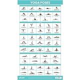 Vive Yoga Poster - Poses for Beginners and Experts - Mat Exercise Home Gym