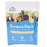 Manna Pro Bounce Back Supplement | Multi-Species Electrolyte | 4 oz