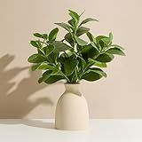 Amore Florals 16" Artificial Eucalyptus Stems Potted Plant Indoor Fake Plants - Realistic Greenery with Vase, Small Artificial Office Desk Plants in Pots for Home Decor Weddings Centerpieces