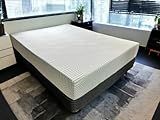 Excel Sleep Products / 10" R&R Comfort Plus Mattress with Latex Alternative Foam