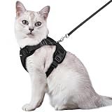 rabbitgoo Cat Harness and Leash Set, Escape Proof Vest, Black