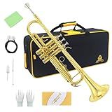 Trumpet Instrument,Band & Orchestra Musical Instruments for Beginners,With trumpets case,Mouthpiece,Cloth and Gloves (Golden)