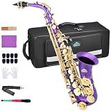 EASTROCK E Flat Alto Saxophone Purple/Golden Sax for Beginners and Students