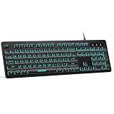 TECKNET Wired Keyboard, Silent Typing, Full-Size Layout,RGB Backlit