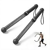 PROIRON Cordless Battle Rope Weighted Ropeless Battle Ropes for Home Gym Workout Exercise Rope for HIT Training Rope for Men & Women Black
