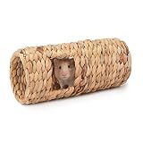 Niteangel Creative & Composable Hamster Tunnel: Edible Water Hyacinth & DIY
