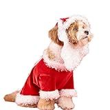 Pet Christmas Santa Costume Set, Dog Santa Outfit with Hat & Beard, Festive Red Velvet Holiday Apparel for Small Dogs, Perfect for Christmas Party, Photoshoot & Daily Wear-S