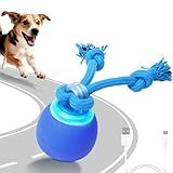 BENTOPAL Interactive Dog Toys Touch Activated Bouncing & Jumping Dog Ball with Rope, Squeaky Doggie Toys to Keep Them Busy