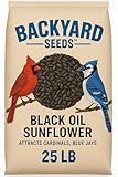 CountryMax Backyard Seeds Black Oil Sunflower Seeds for Wild Birds 25lbs - Thin Shells, Premium Cardinal Food, Medium Bag of Black Oil Sunflower Seeds