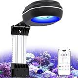 PopBloom 65W Aquarium LED Reef Lights for Corals, WiFi Smart, Rich Shimmer