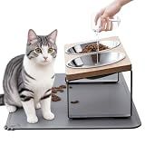 Upgraded Elevated Cat Bowls with Food Mat,15°Tilted Stand Anti Vomiting Raised Cat Dishes for Food and Water,2 Stainless Steel Bowls for Cats and Puppy