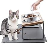 Upgraded Elevated Cat Bowls with Food Mat,15°Tilted Stand Anti Vomiting Raised Cat Dishes for Food and Water,2 Stainless Steel Bowls for Cats and Puppy