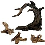 Obantrsz Aquarium Driftwood Decor Set - 1 Anubias Resin Model & 3Pcs Small Natural Driftwood 2-4 inch for Aquascaping, Fish Tank Landscape Design