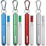 Ecoangel Cruise Ship Essentials,4-Pack reusable Collapsible Stainless Steel Drinking Straws with Aluminum Case,Cleaning Brush,and Keychains-Silver,Blue,Red,Green