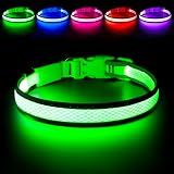 Flashseen LED Dog Collar, Light Up Dog Collar USB Rechargeable, Green, L