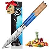 Fukep 3.5 Inch Damascus Paring Knife, Small Paring Knife with VG-10 Core, 67-Layer Forged Steel, Ultra Sharp Hand-Honed 12° Edge, Real Damascus Pattern, Blue Resin Handle, Ideal Gift with Gift Box