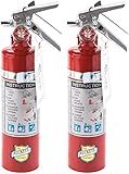 2 Pack Buckeye 13315 ABC Multipurpose Dry Chemical Hand Held Fire Extinguisher with Aluminum Valve and Vehicle Bracket, 2.5 lbs Agent Capacity