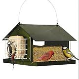 Solution4Patio Bird Feeders for Outdoors Hanging, All Metal, Double Suet Cake and Large Capacity, Hopper Tray & Weatherproof for Finch, Cardinal & Chickadee (Green)