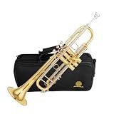 AUROSUS Bb trumpets red gold brass leadpipe mouthpipe advanced student professional trumpet Musical Instruments For Beginner Adults (710 gold brass)