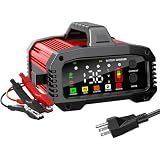Battery Charger 25A LiFePO4 Trickle Charger Maintainer 12V/24V for Car