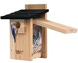 Nature's Way Bird Products CWH4 Cedar Bluebird Viewing House