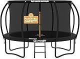 JUMPZYLLA Trampoline Outdoor 8FT 10FT 12FT 14FT 15FT 16FT with Enclosure and Ladder, ASTM Approved Recreational Trampoline for Kids and Adults, Anti-Rust Coated Frame (Black, 14FT)