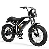 Qlife Electric Bike for Adults-1500W Peak Motor 20" Fat Tires 28MPH EBike, 624Wh Removable Battery Bicycle, with Dual Suspension & Brakes Motorcycle, 7-Speed,E Bike, Spark