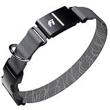 Fi Series 3+ GPS + Health Dog Collar, Gray, Large, 12-Month Membership