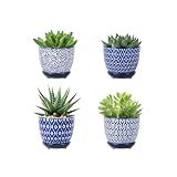 Selamica Ceramic Succulent Pots with Drainage Holes, Small Flower Pots 3.5 Inch Plant Pots for Indoor Plants with Saucers, Cactus Succulent, Home Decor, Set of 4, Vintage Blue