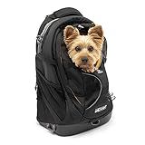Kurgo G-Train Dog Carrier Backpack - Comfortable Travel Bag for Pets Up to 25 lbs - Waterproof Bottom - Multi-Compartment Pack - Dog Hiking Gear - Rugged Adventure Backpack - Black