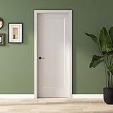 BARNSMITH 30x80 in 1-Panel White Primed Molded Door Slab, Shaker Style Paintable Hollow Core Interior Door Panel, for Pocket, Swing, Sliding Door, Durable and Lightweight, No Assembly Required