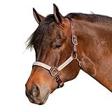 Kensington Premium Breakaway Halter with Padded Nose — Added Breakaway Safety Measures — Snap at Throat for Identical Fit Each Time Size: Medium - Color: Navy w/Cosmic Blue