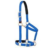 Weaver Equine Breakaway Horse Halter, Comfort Foam Padding, Adjustable Chin & Throat Snap Halters for Horses, Equine Tack,Average Size, Blue