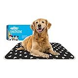 The Green Pet Shop Cool Pet Pad - Large, Disney’s Mickey & Minnie Mouse - Self-Cooling, Pressure Activated Mat for Dogs & Cats from 46-80 lbs - Non-Toxic Gel, No Water Needed