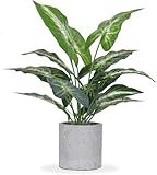 JC nateva 16" Small Fake Plants Artificial Tropical Faux Plants Indoor for Office Desk Shelf Bathroom Home Decor