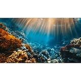 Avolander Aquarium Background, Ocean Fish Tank Background, Terrarium Background Cloth 24 x 12 inches