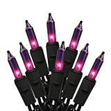 HISHINY Halloween String Lights 100 Count Incandescent Bulb Purple Halloween Lights with Black Wire for Outdoor Indoor Halloween Christmas Garland Party Festival Decor,UL Certified (21feet)