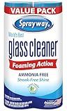 Sprayway Glass Cleaner Foaming Aerosol Spray, 19oz, Pack of 2 | Ammonia-Free, Streakless, Fast-Acting | Cleans & Polishes Glass Surfaces | Fresh Scent, Removes Fingerprints, Dust, Dirt, Smoke Film