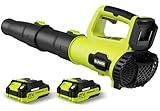 LEAPUL Leaf Blower Cordless, 21V Electric Leaf Blower with 2×2.0Ah Batteries & 1 Fast Charger, Lightweight Battery Powered Blower for Lawn Care, Patio Cleaning