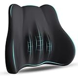 kasney Lumbar Support Pillow, Memory Foam Lumbar Pillow for Lower Back Pain Relief, Back Support Pillow for Office Chair, Car Seat - Black
