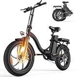 Lite 1 Electric Bike for Adults,PEAK 1500W Folding Electric Bike for Adults
