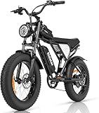 Ridstar Electric Motorcycles for Adults, 1000W 13AH 25MPH Max 35Miles Ebike,20Inch Fat Tire Dirt Bike, Bicicleta electrica para adultos Black